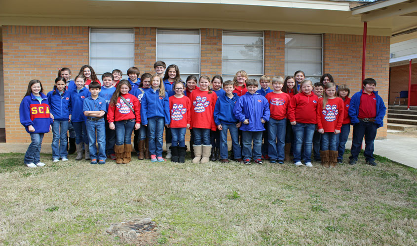 SCA announces Elem Science Fair Winners