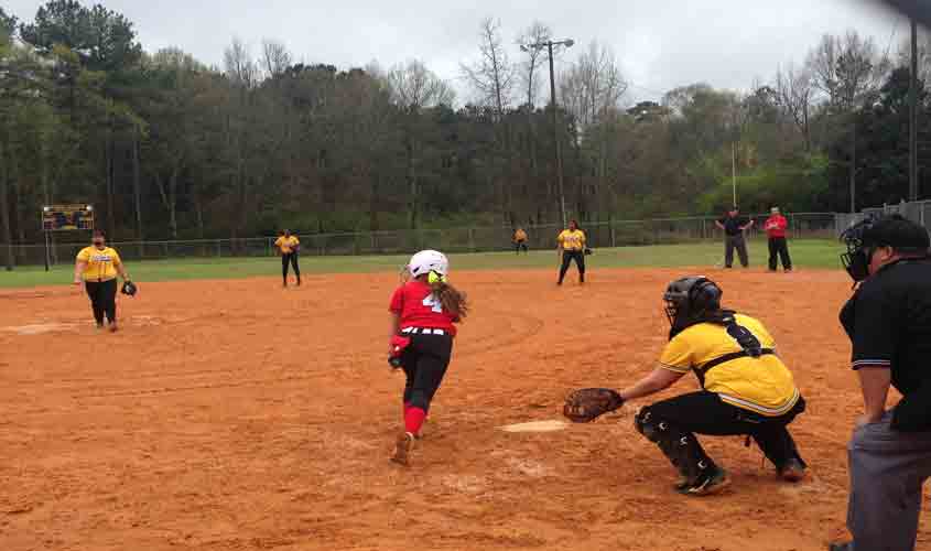 Tiger Softball Team