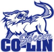 Co-Lin Holding Men’s Soccer Tryout