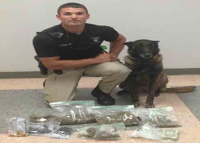Magee K-9 Officer Discovers Over 4.5 lbs of Marijuana