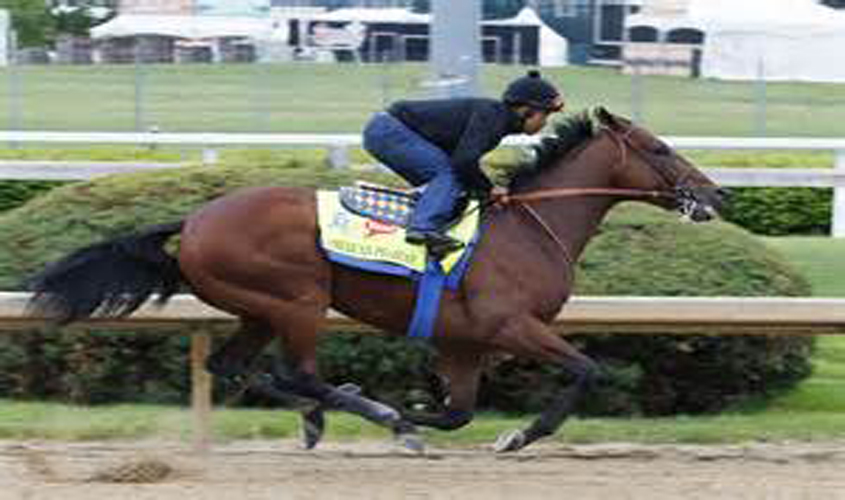 AMERICAN PHAROAH, TRIPLE CROWN WINNER