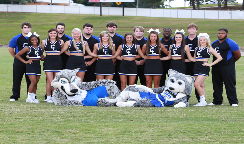 Meet the Wolves