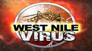 New Case of West Nile