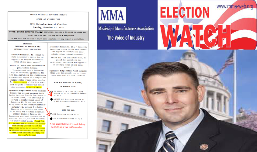 Ballot Initiative 42
