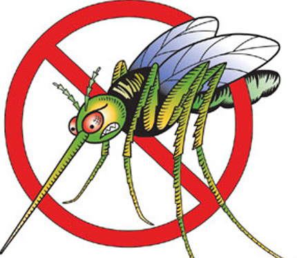 Fight the Bite!!!