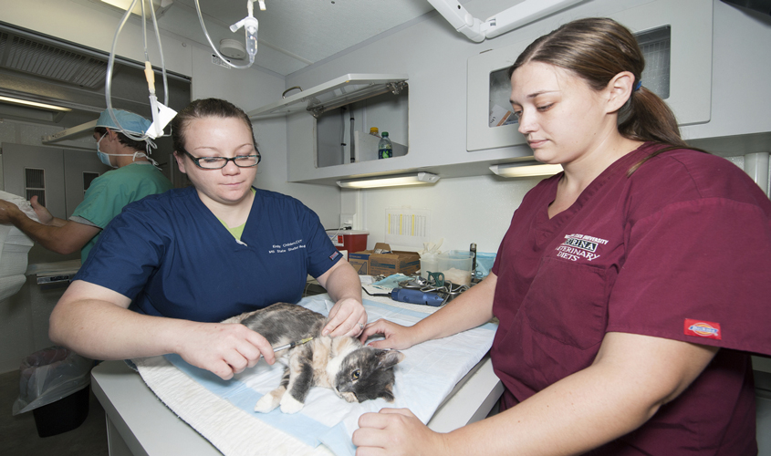 PetSmart Charities™ Continues Support for MSU Veterinary Program