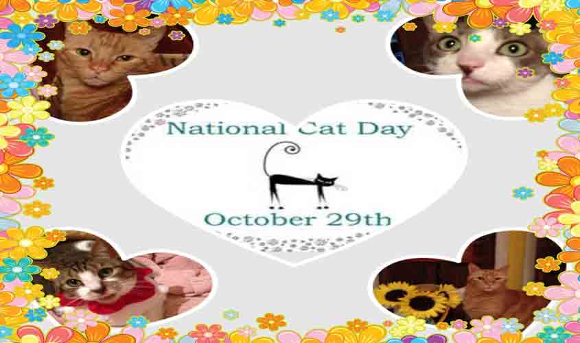 Honoring my Fur Babies!