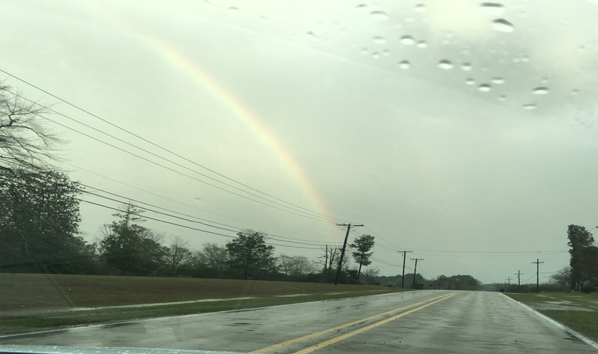 A Rainbow During Christmas Holidays