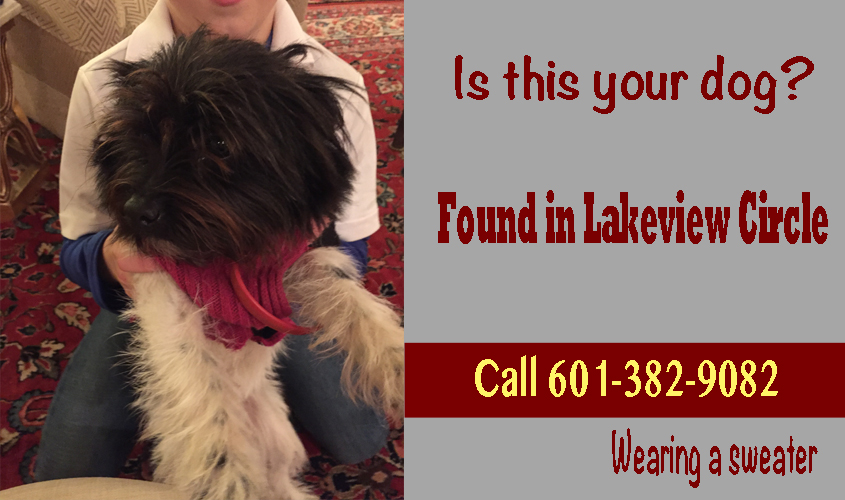 IS THIS YOUR DOG?