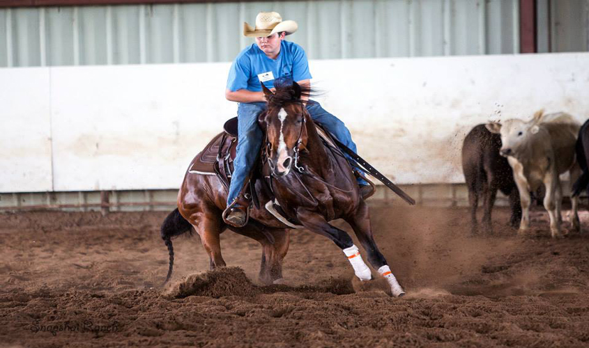 Shane Crawford and His Horse, War Dually, Make Quite a Team