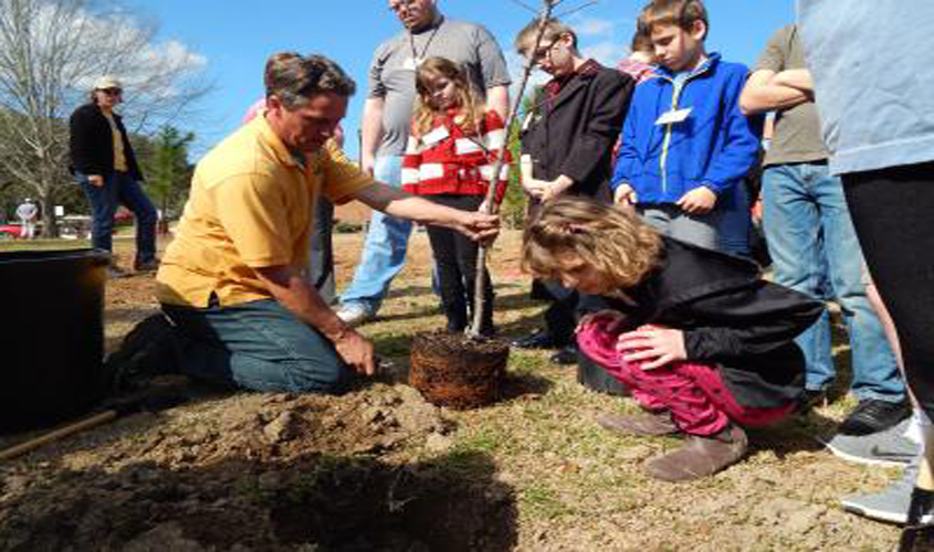 Arbor Day Observance at Southern Miss Includes Planting Fruit Trees, Shrubs