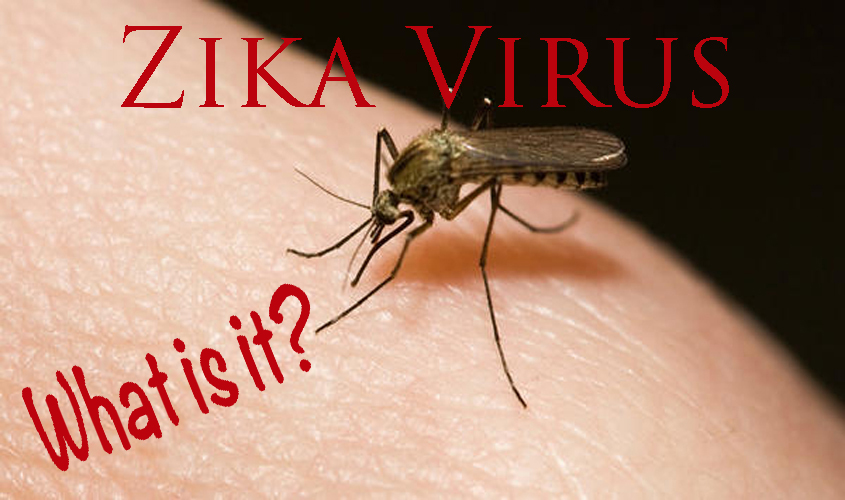 Zika Virus, What is it?