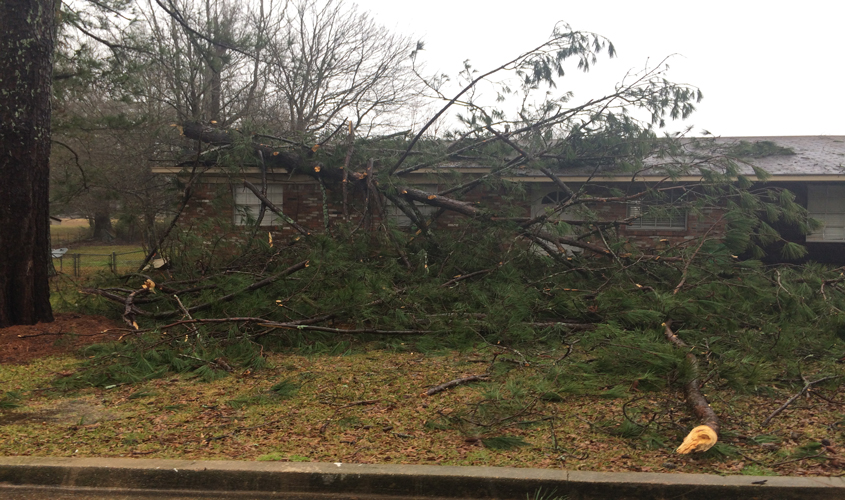 Storm Damage Reports Are Coming In