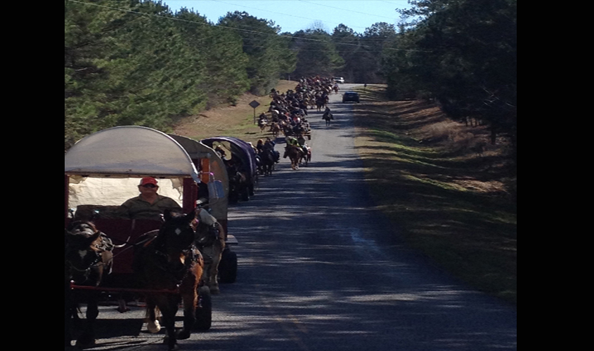 Wagon Train Coming to Town
