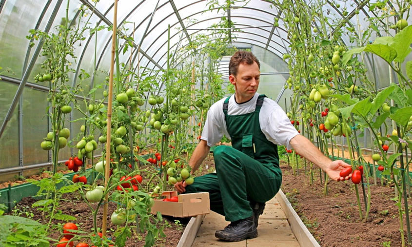 USDA Seeks Applications for Loan and Grants