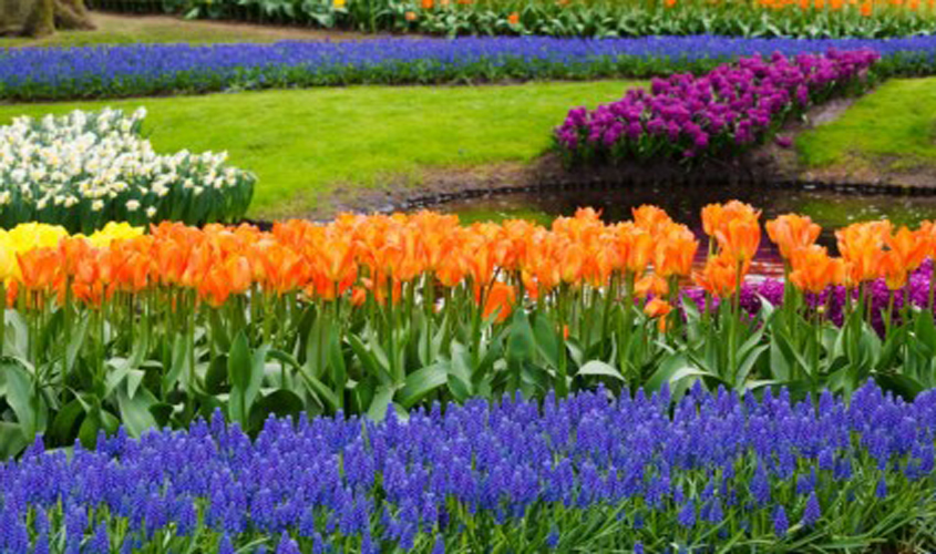 Spring Time Has Arrived