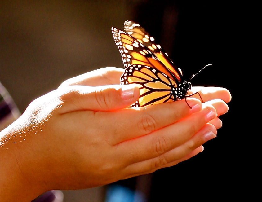 Have you experienced the pain of a death of a child?