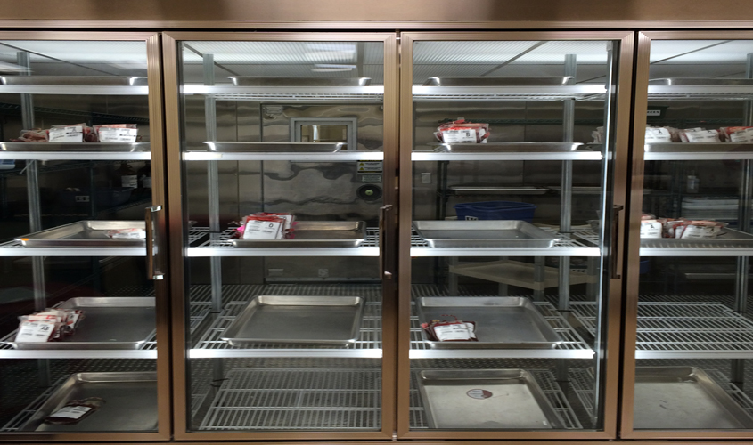 Severe Summer Blood Shortage