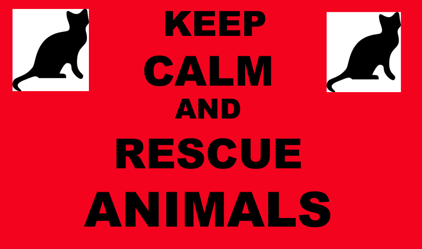 SAVE OUR STRAYS SOS