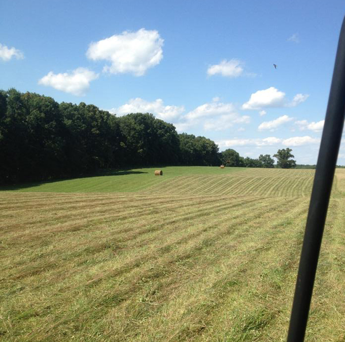 Summertime N Simpson County