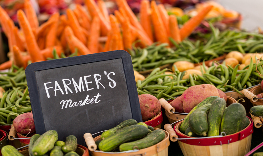 Farmer’s Market Coming to Magee