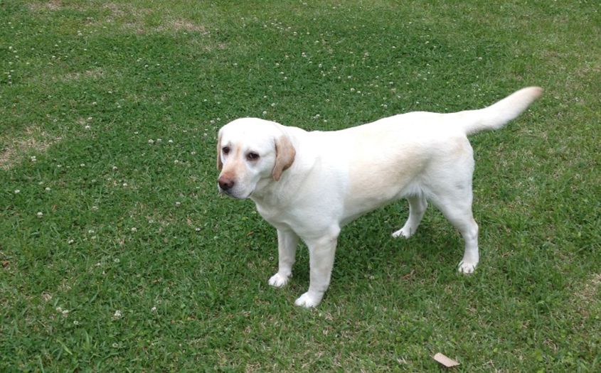 Daisy is home!