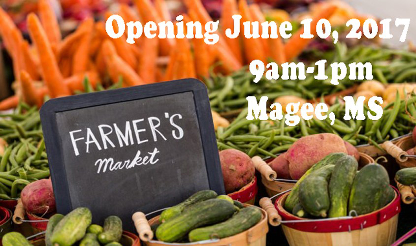 Farmer's Market