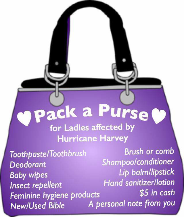 Pack a Purse