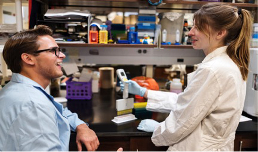 MSU remains highest-ranked research university in state