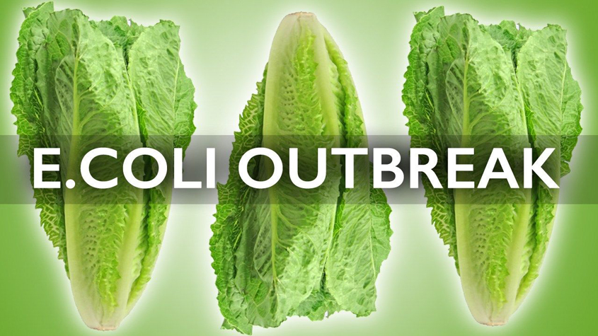 Romaine source(s) remain elusive as E. coli outbreak grows