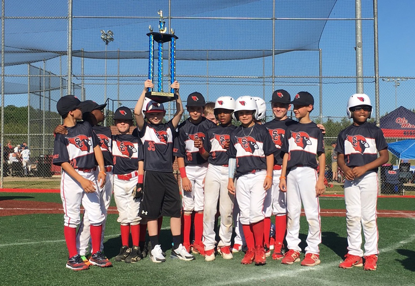 Cardinals Heading to Global World Series