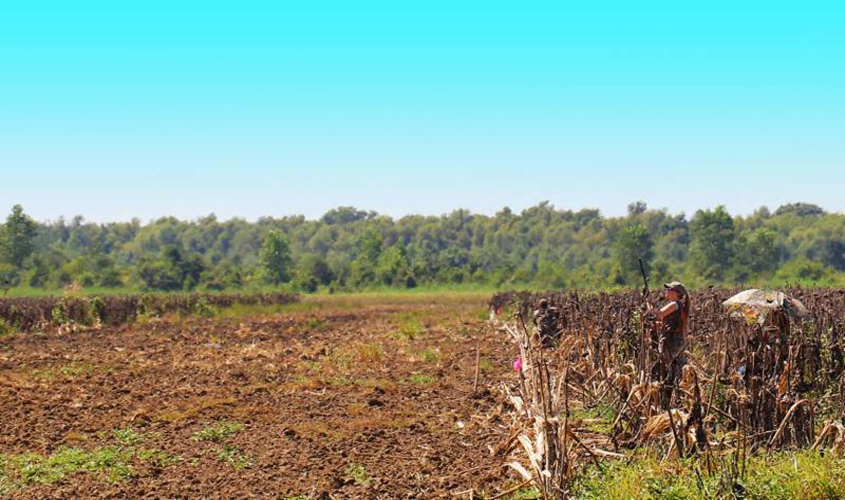 Youth Dove Hunt