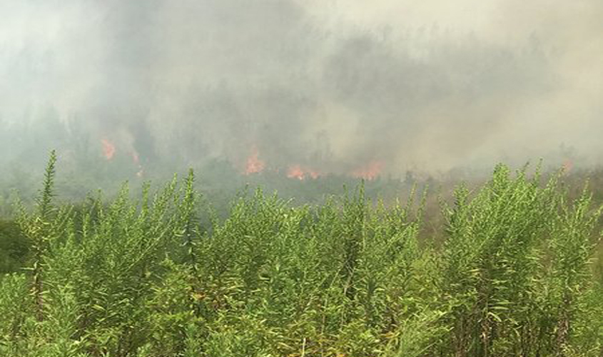 MFC Wildland Firefighters Battling Est. 200-acre fire in Jefferson Davis County