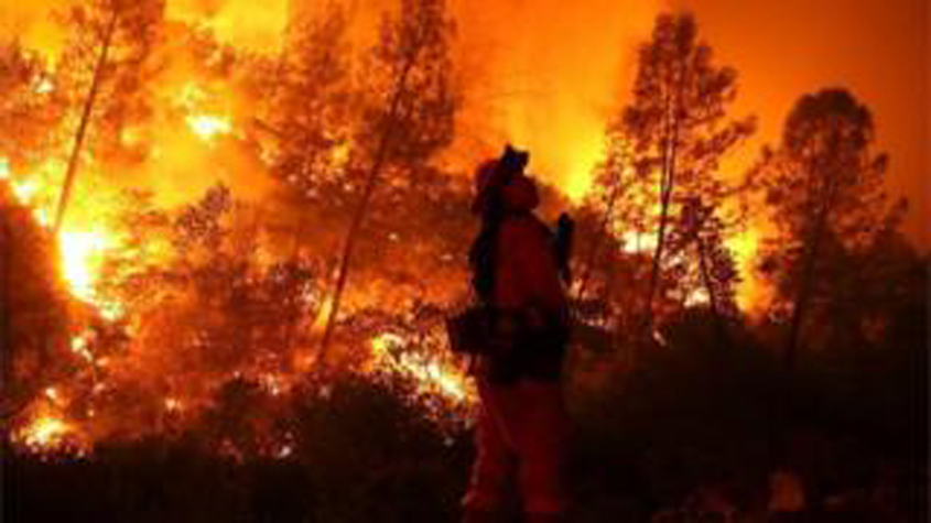 MFC Deploys Wildland Firefighters and Support Personnel to OR & WA