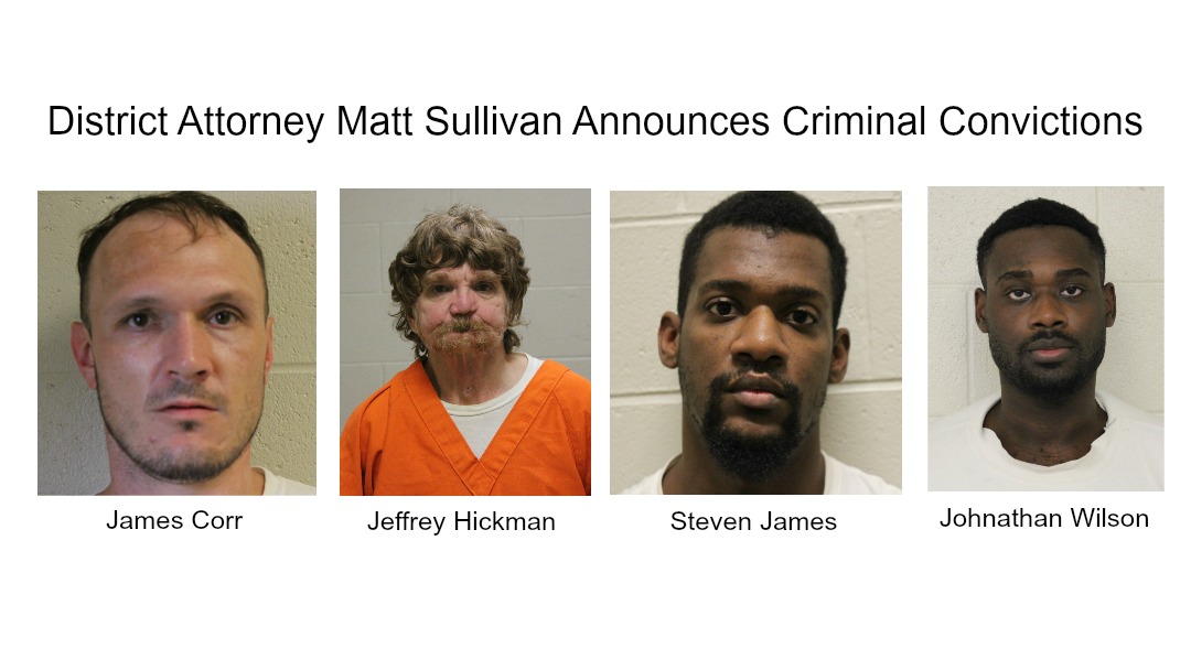 Criminal Convictions in District 13