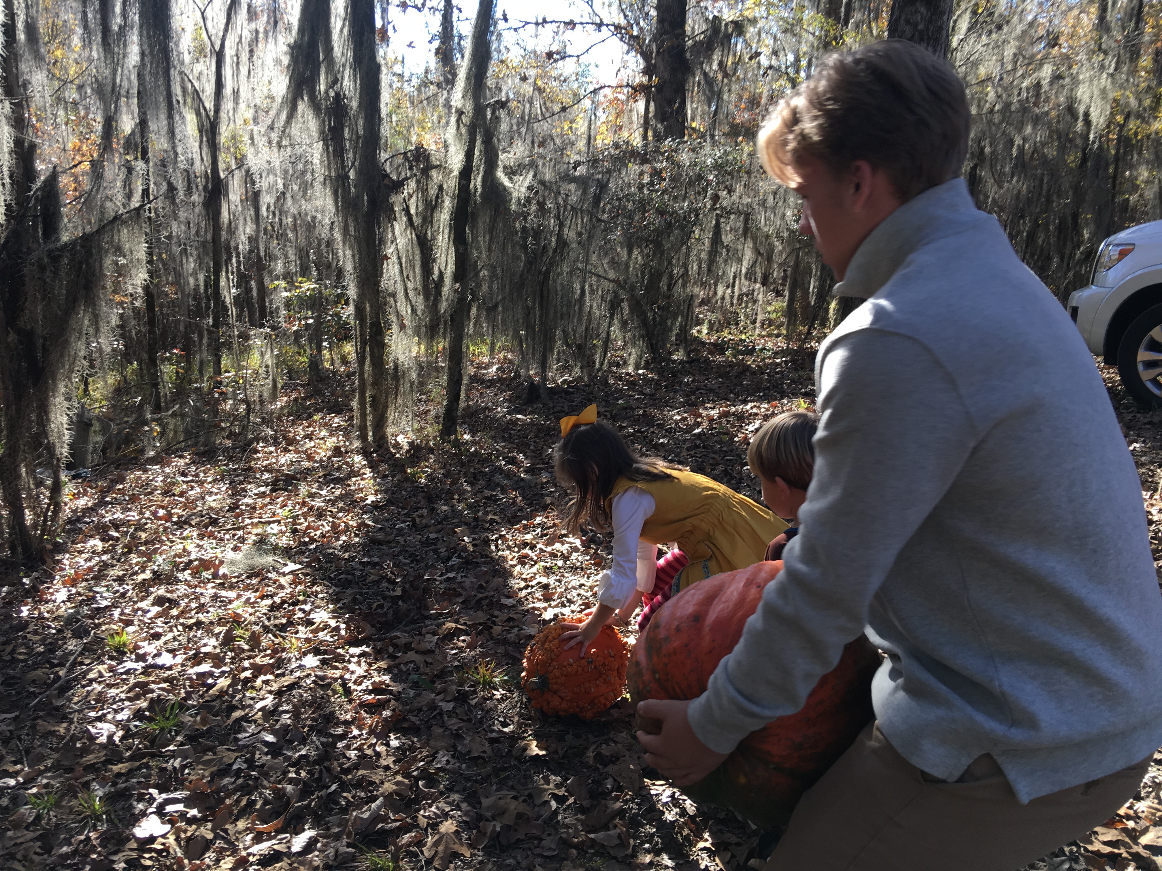 Rolling Pumpkins—One of the Highlights of Thanksgiving