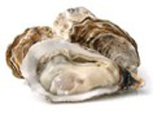 Health Precautions for Beach Water and Seafood