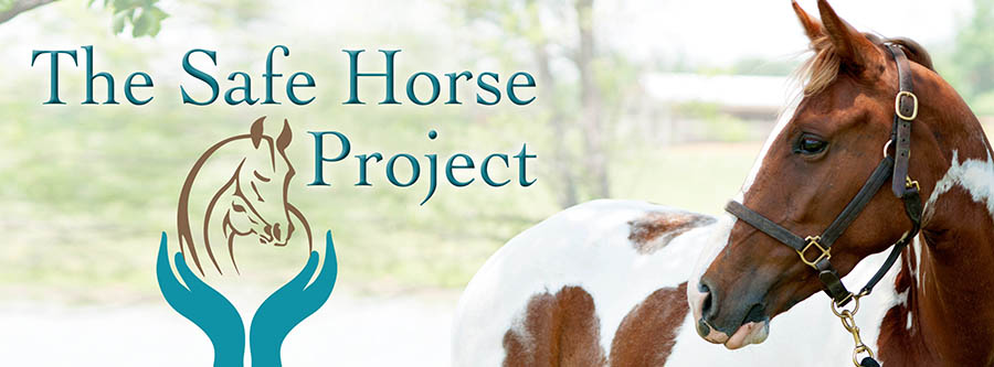 Ag Commissioner Gipson Previews Annual Safe Horse Auction and Equine Fair
