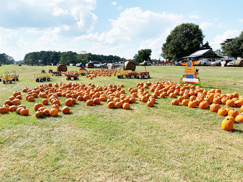 Mitchell Farms a Must for Area Residents