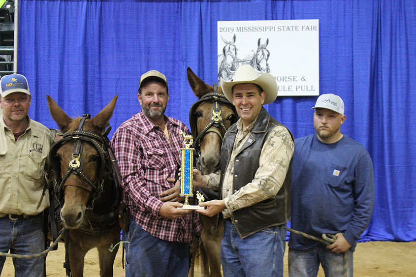Commissioner Gipson Announces State Fair’s Mule Pull Winners