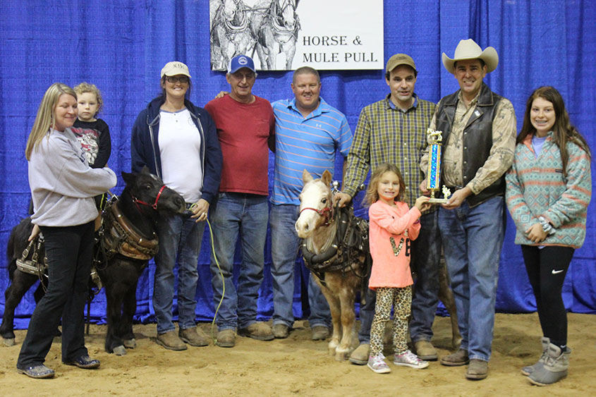 Commissioner Gipson Announces State Fair’s Pony Pull Winners