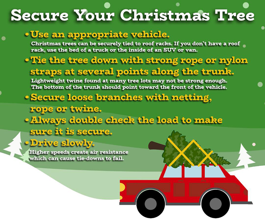 Secure your Christmas tree before you drive