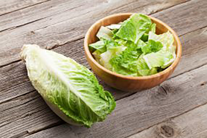 Do Not Eat Romaine Lettuce