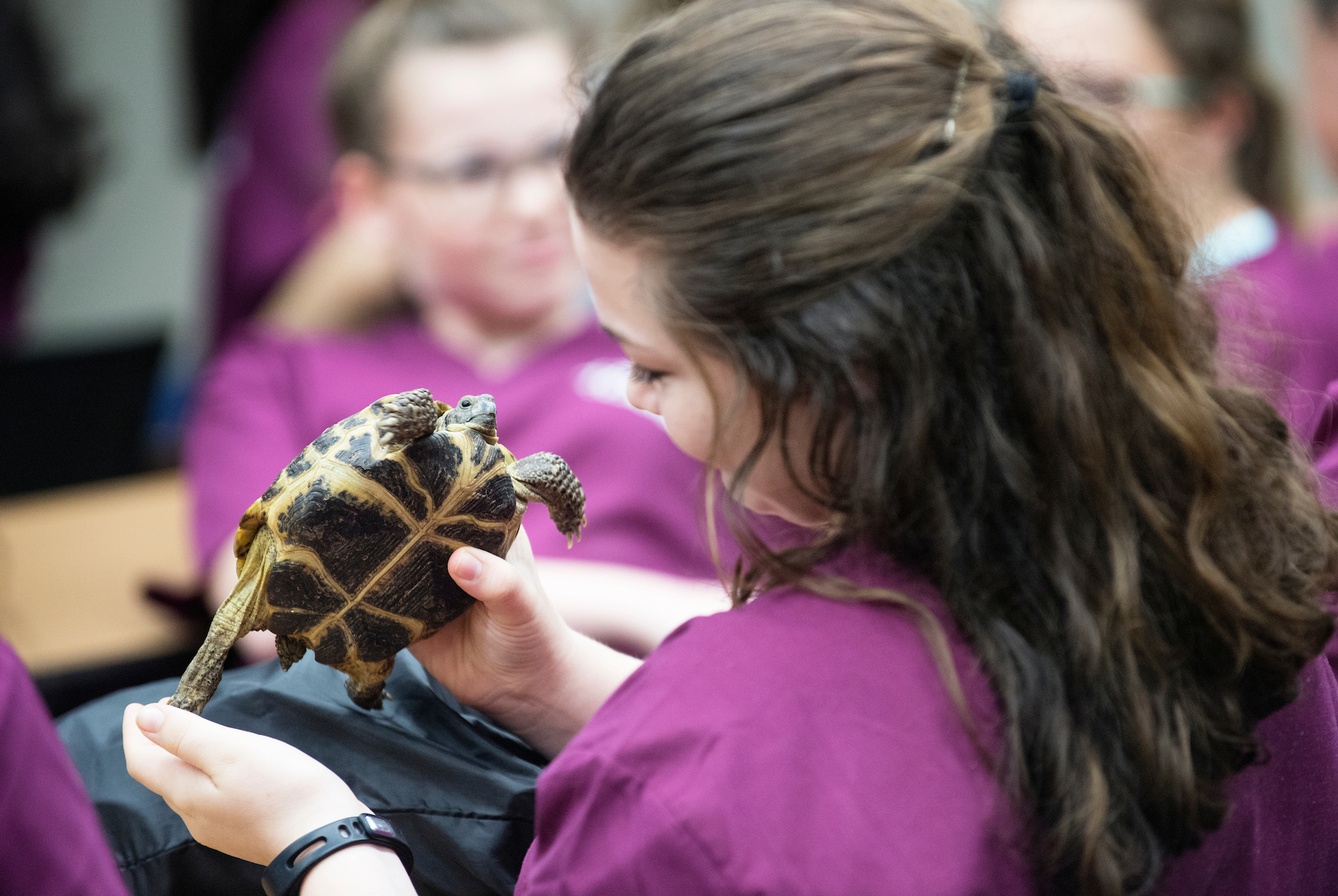 MSU Vet Camp applications available starting Jan. 28