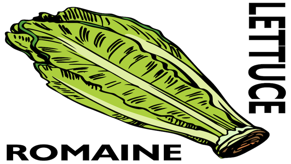 E. coli Outbreaks May Be Over
