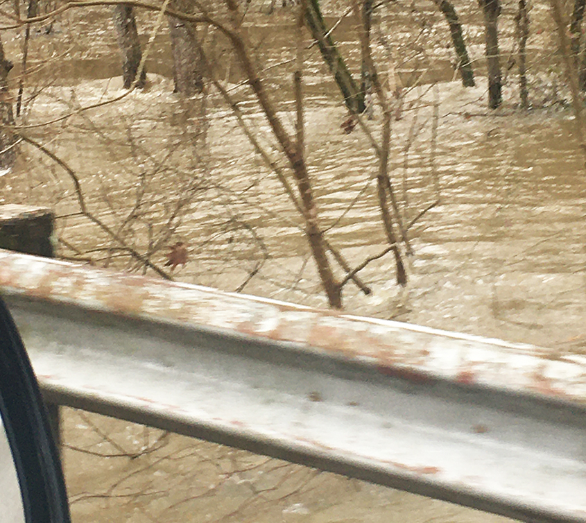 Stay Out of the Gatesville Road Area in Simpson County