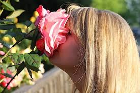 Sit Back and Smell the Roses