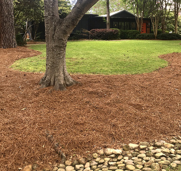 Landscape is Defined by its Lines