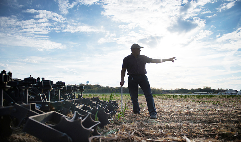 For Mississippi State farms, hands-on work continues
