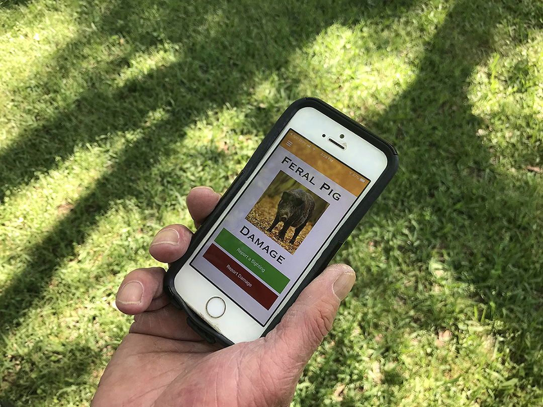 smart phone app